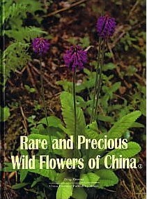 Rare And Precious Wild Flowers of China(1)